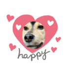 可愛い保護犬ズーくん（個別スタンプ：21）