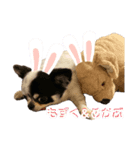 もずくちゃんのスタンプ（個別スタンプ：3）