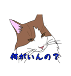 小梅＆小麦の会話用（個別スタンプ：1）