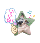 ドンとアーロ その4（個別スタンプ：1）