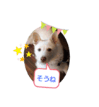 ドンとアーロ その4（個別スタンプ：2）