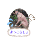 ドンとアーロ その4（個別スタンプ：3）