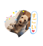 ドンとアーロ その4（個別スタンプ：4）