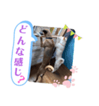 ドンとアーロ その4（個別スタンプ：9）