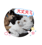 ドンとアーロ その4（個別スタンプ：11）