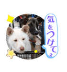 ドンとアーロ その4（個別スタンプ：13）