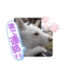 ドンとアーロ その4（個別スタンプ：16）