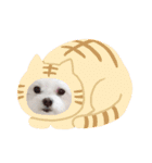 jdnsiwnq（個別スタンプ：6）