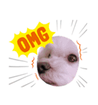 jdnsiwnq（個別スタンプ：8）