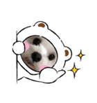 jdnsiwnq（個別スタンプ：13）