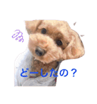 ららちゃん☆☆（個別スタンプ：1）