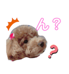 ららちゃん☆☆（個別スタンプ：2）