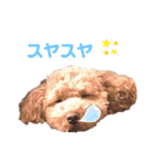 ららちゃん☆☆（個別スタンプ：3）