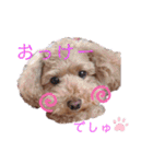 ららちゃん☆☆（個別スタンプ：4）