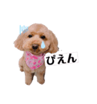 ららちゃん☆☆（個別スタンプ：5）