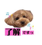 ららちゃん☆☆（個別スタンプ：6）