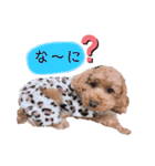 ららちゃん☆☆（個別スタンプ：7）