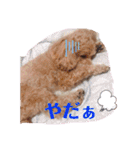 ららちゃん☆☆（個別スタンプ：8）