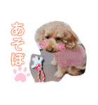 ららちゃん☆☆（個別スタンプ：9）