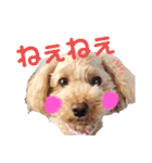 ららちゃん☆☆（個別スタンプ：13）