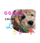 ららちゃん☆☆（個別スタンプ：14）