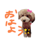 ららちゃん☆☆（個別スタンプ：15）