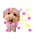 ららちゃん☆☆（個別スタンプ：16）