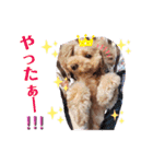 ららちゃん☆☆（個別スタンプ：18）