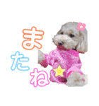 ららちゃん☆☆（個別スタンプ：20）