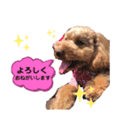 ららちゃん☆☆（個別スタンプ：27）