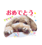 ららちゃん☆☆（個別スタンプ：28）