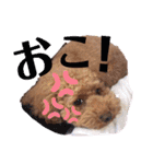 ららちゃん☆☆（個別スタンプ：29）