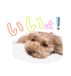 ららちゃん☆☆（個別スタンプ：30）