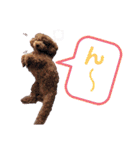 ららちゃん☆☆（個別スタンプ：32）