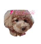 ららちゃん☆☆（個別スタンプ：34）