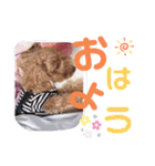 ららちゃん☆☆（個別スタンプ：35）