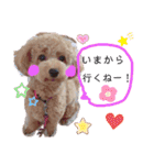 ららちゃん☆☆（個別スタンプ：38）
