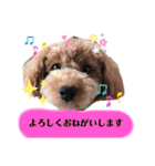 ららちゃん☆☆（個別スタンプ：39）
