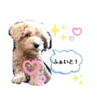 ららちゃん☆☆（個別スタンプ：40）