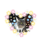 ニコ＆ナナ 3（個別スタンプ：6）