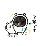 ニコ＆ナナ 3（個別スタンプ：9）