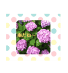 ニコ＆ナナ 3（個別スタンプ：16）