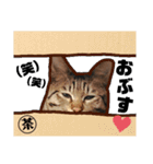 キジトラねこの茶々（3）（個別スタンプ：2）