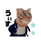 キジトラねこの茶々（3）（個別スタンプ：29）