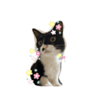 ムギちゃんと仲間たち（個別スタンプ：7）