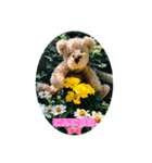 ばなばーばのbearスタンプ（個別スタンプ：1）