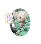 ばなばーばのbearスタンプ（個別スタンプ：5）