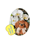 ばなばーばのbearスタンプ（個別スタンプ：6）