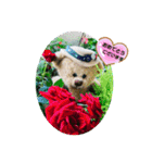 ばなばーばのbearスタンプ（個別スタンプ：8）