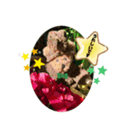 ばなばーばのbearスタンプ（個別スタンプ：9）
